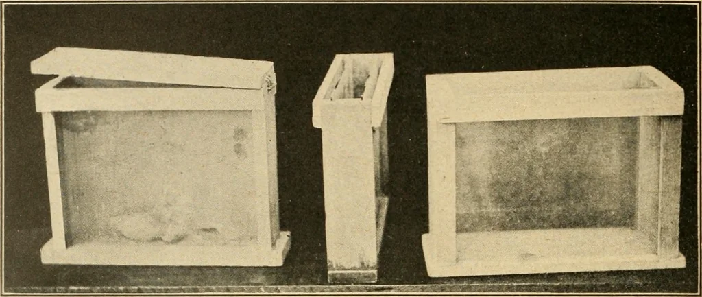 An illustration from Manual training--play problems; constructive work for boys and girls based on the play interest, 1917, leaf 115