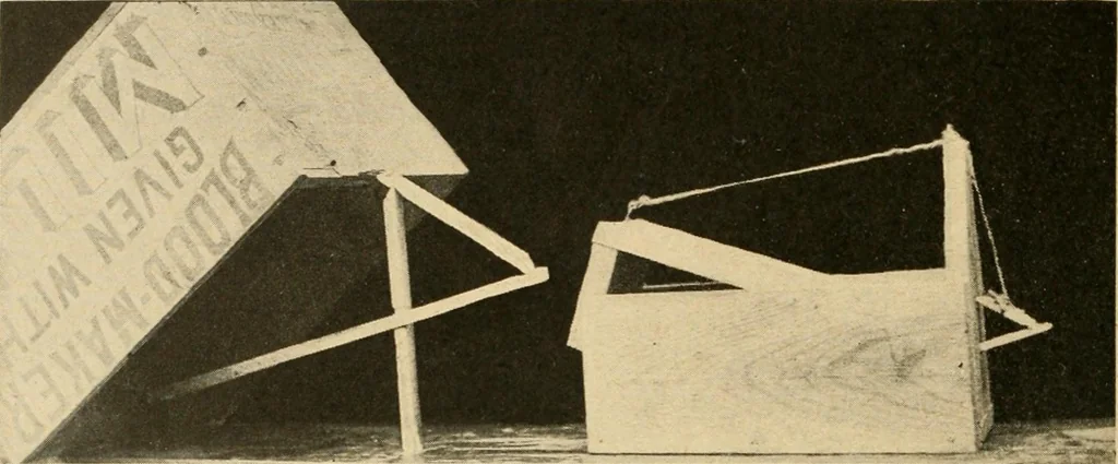 An illustration from Manual training--play problems; constructive work for boys and girls based on the play interest, 1917, leaf 119