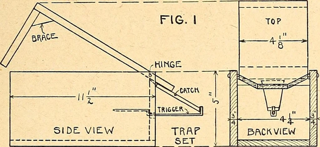 An illustration from Manual training--play problems; constructive work for boys and girls based on the play interest, 1917, leaf 120