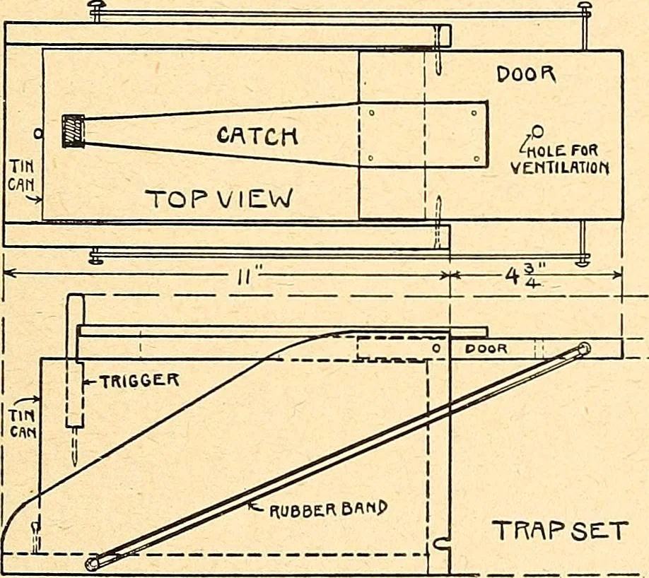 An illustration from Manual training--play problems; constructive work for boys and girls based on the play interest, 1917, leaf 120