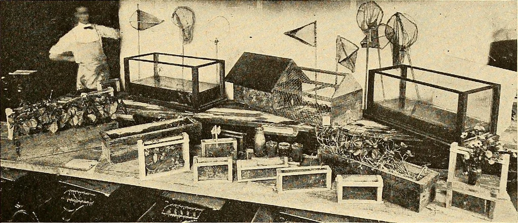 An illustration from Manual training--play problems; constructive work for boys and girls based on the play interest, 1917, leaf 28
