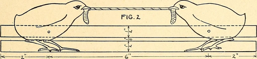 An illustration from Manual training--play problems; constructive work for boys and girls based on the play interest, 1917, leaf 84