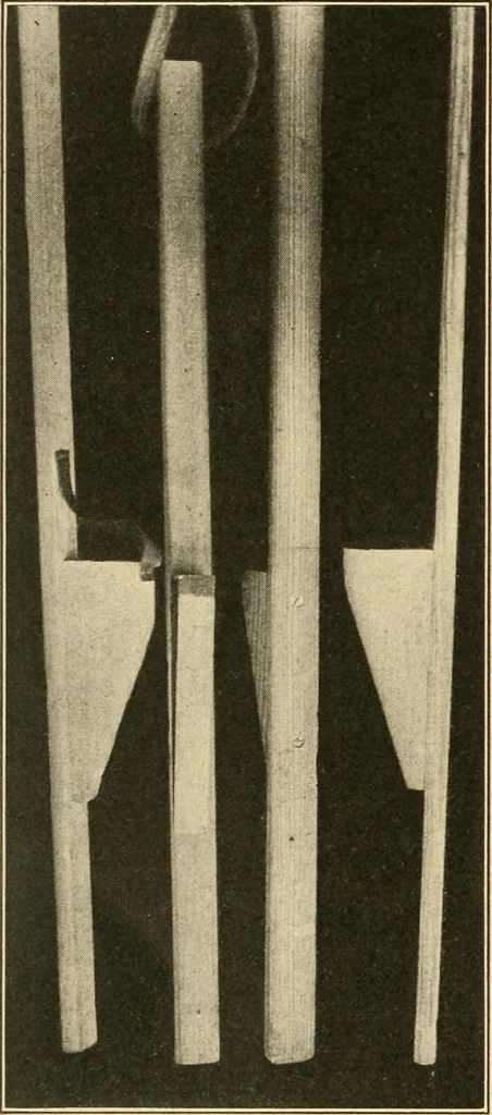 An illustration from Manual training--play problems; constructive work for boys and girls based on the play interest, 1917, leaf 99