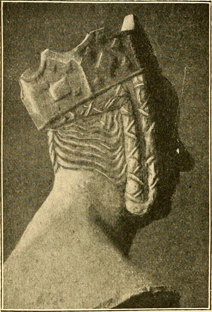 An illustration from Manuel d'archeologie francaise depuis les temps mérovingiens jusqu'à la renaissance .., 1902, leaf 223