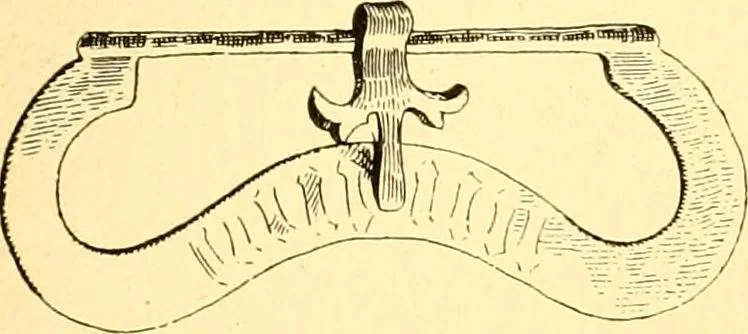 An illustration from Manuel d'archeologie francaise depuis les temps mérovingiens jusqu'à la renaissance .., 1902, leaf 322