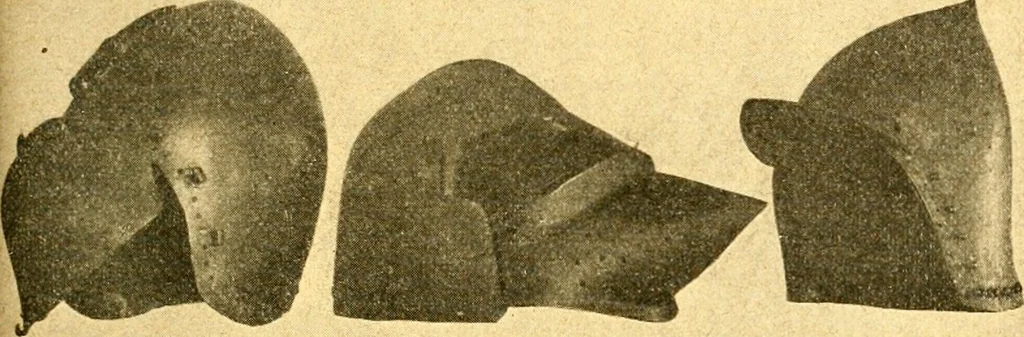An illustration from Manuel d'archeologie francaise depuis les temps mérovingiens jusqu'à la renaissance .., 1902, leaf 548