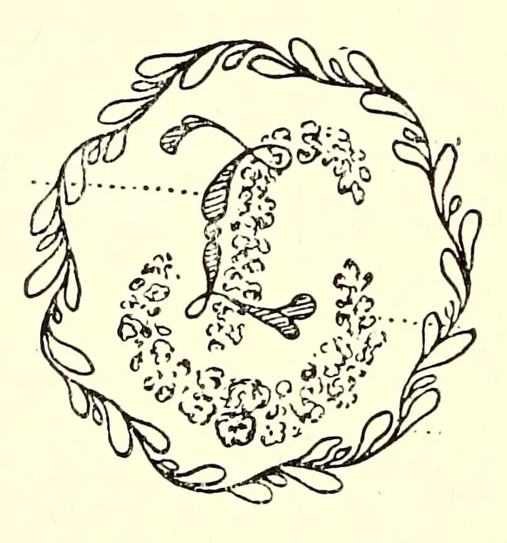 An illustration from Manuel de l'amateur de porcelaines, manufactures françaises, suivi du Repertoire, alphabétique et systématique de toutes les marques connues, 1922, leaf 140