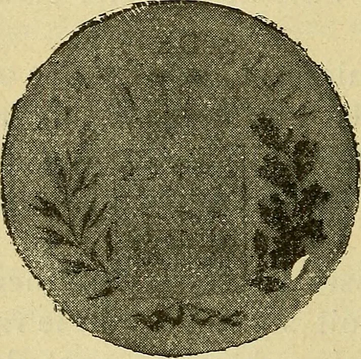 An illustration from Manuel de radioscopie et de radiographie par l'emploi des rayons X, 1900, leaf 17