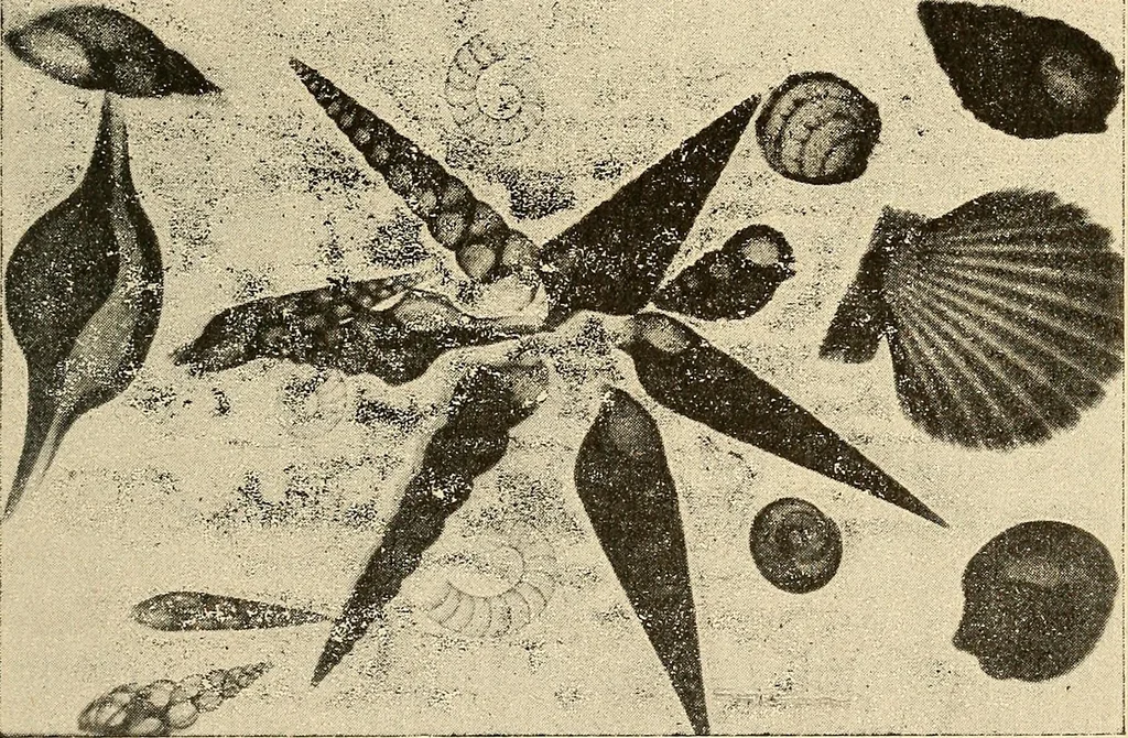 An illustration from Manuel de radioscopie et de radiographie par l'emploi des rayons X, 1900, leaf 48