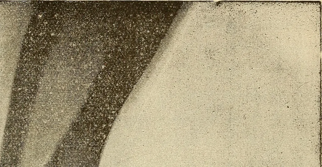 An illustration from Manuel de radioscopie et de radiographie par l'emploi des rayons X, 1900, leaf 50