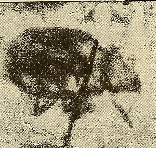 An illustration from Manuel de radioscopie et de radiographie par l'emploi des rayons X, 1900, leaf 70