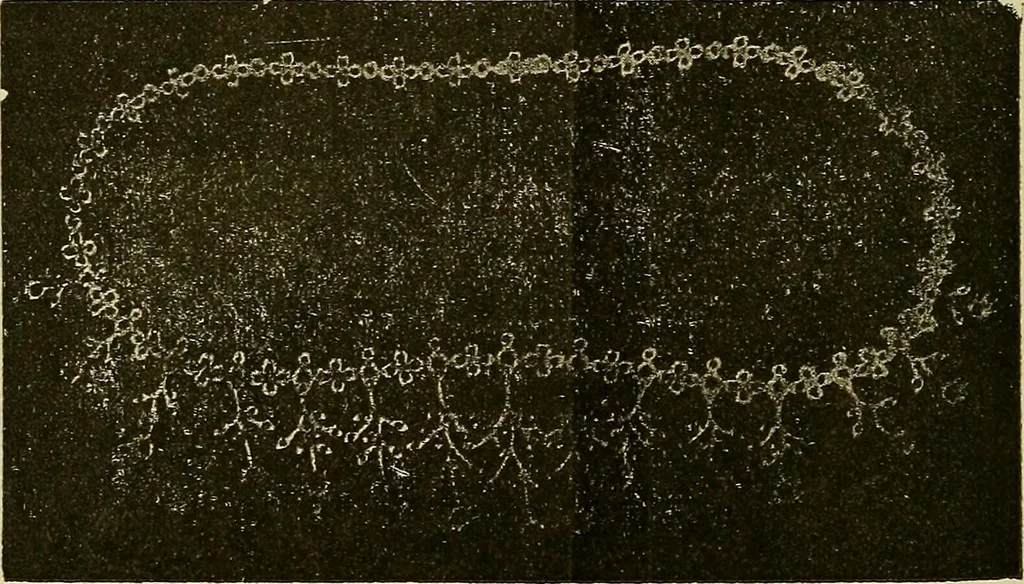 An illustration from Manuel de radioscopie et de radiographie par l'emploi des rayons X, 1900, leaf 77