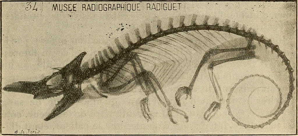 An illustration from Manuel de radioscopie et de radiographie par l'emploi des rayons X, 1900, leaf 86