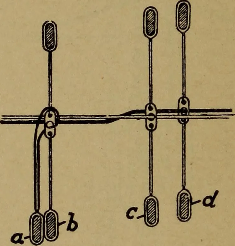 An illustration from Manufacture of narrow woven fabrics, ribbons, trimmings, edgings, etc., giving description of the various yarns used. The construction of weaves and novelties in fabric structures, also descriptive matter as to looms, etc, 1917, leaf 115