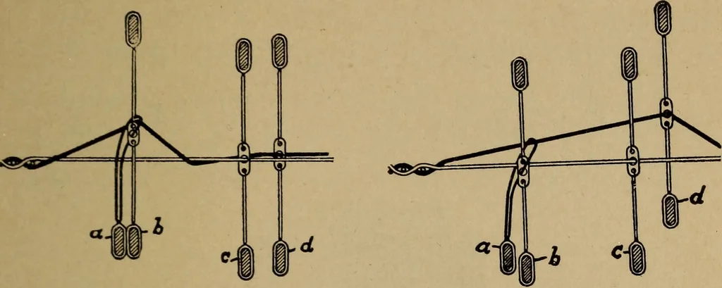 An illustration from Manufacture of narrow woven fabrics, ribbons, trimmings, edgings, etc., giving description of the various yarns used. The construction of weaves and novelties in fabric structures, also descriptive matter as to looms, etc, 1917, leaf 116