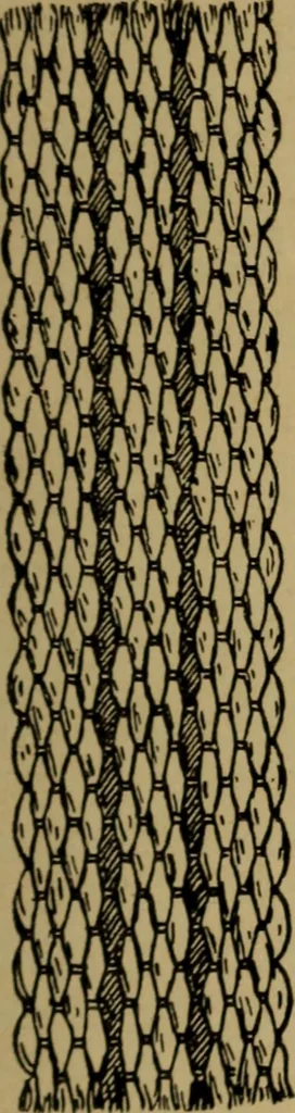 An illustration from Manufacture of narrow woven fabrics, ribbons, trimmings, edgings, etc., giving description of the various yarns used. The construction of weaves and novelties in fabric structures, also descriptive matter as to looms, etc, 1917, leaf 170