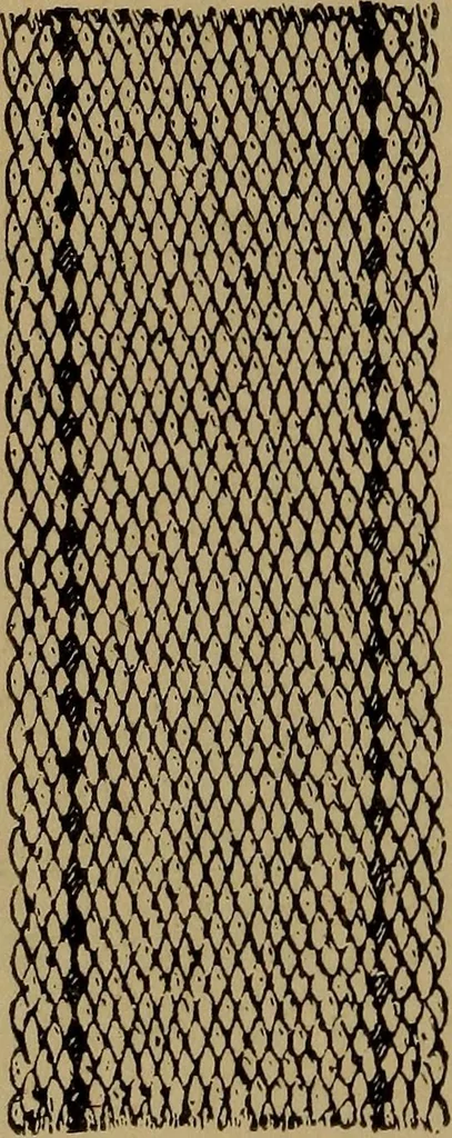 An illustration from Manufacture of narrow woven fabrics, ribbons, trimmings, edgings, etc., giving description of the various yarns used. The construction of weaves and novelties in fabric structures, also descriptive matter as to looms, etc, 1917, leaf 175