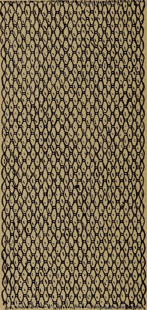 An illustration from Manufacture of narrow woven fabrics, ribbons, trimmings, edgings, etc., giving description of the various yarns used. The construction of weaves and novelties in fabric structures, also descriptive matter as to looms, etc, 1917, leaf 175