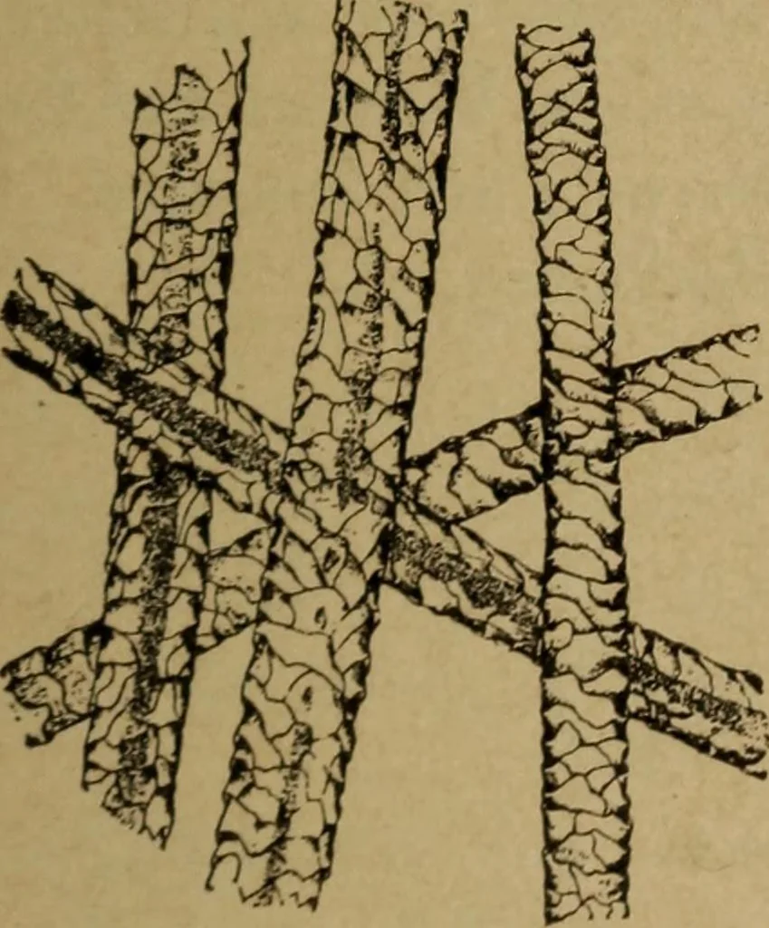 An illustration from Manufacture of narrow woven fabrics, ribbons, trimmings, edgings, etc., giving description of the various yarns used. The construction of weaves and novelties in fabric structures, also descriptive matter as to looms, etc, 1917, leaf 226