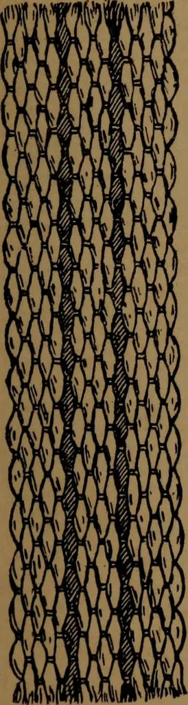 An illustration from Manufacture of narrow woven fabrics, ribbons, trimmings, edgings, etc., giving description of the various yarns used. The construction of weaves and novelties in fabric structures, also descriptive matter as to looms, etc, 1917, leaf 166