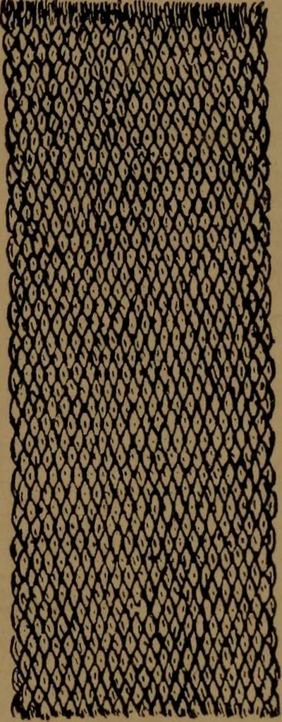 An illustration from Manufacture of narrow woven fabrics, ribbons, trimmings, edgings, etc., giving description of the various yarns used. The construction of weaves and novelties in fabric structures, also descriptive matter as to looms, etc, 1917, leaf 166