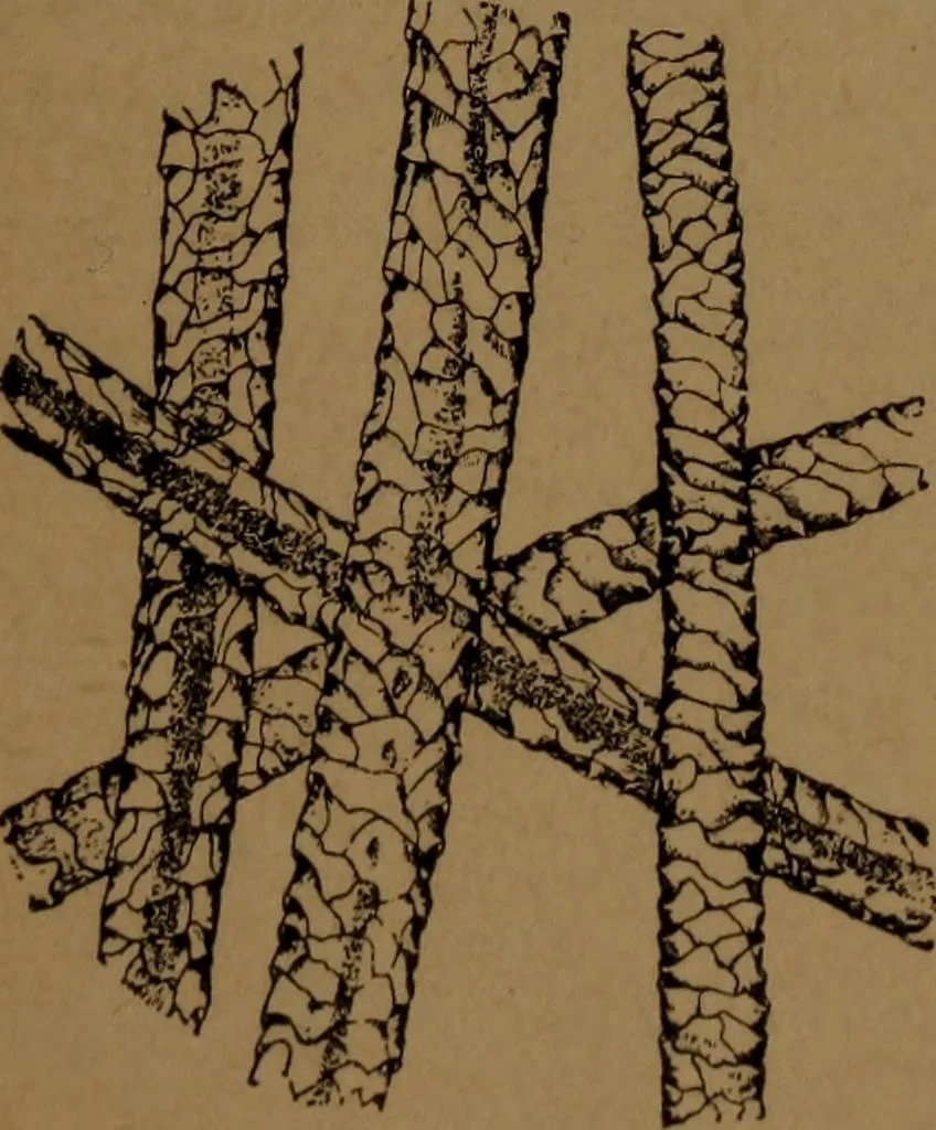 An illustration from Manufacture of narrow woven fabrics, ribbons, trimmings, edgings, etc., giving description of the various yarns used. The construction of weaves and novelties in fabric structures, also descriptive matter as to looms, etc, 1917, leaf 222