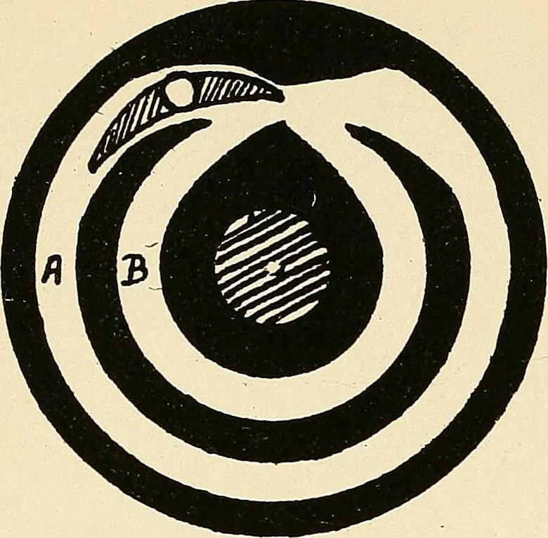 An illustration from Manuscript notes on weaving, 1900, leaf 117