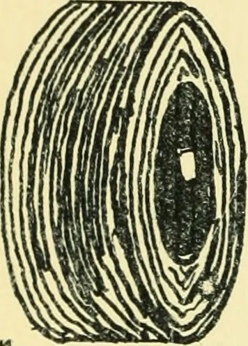 An illustration from Manuscript notes on weaving, 1912, leaf 135