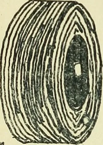 An illustration from Manuscript notes on weaving, 1900, leaf 265