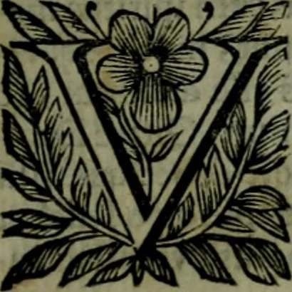 An illustration from Manvale exorcistarvm ac parochorvm; hoc est, Tractatvs de cvratione ad protectione divina .., 1651, leaf 40