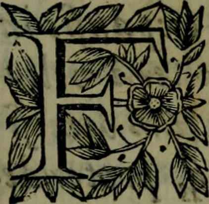An illustration from Manvale exorcistarvm ac parochorvm; hoc est, Tractatvs de cvratione ad protectione divina .., 1651, leaf 8