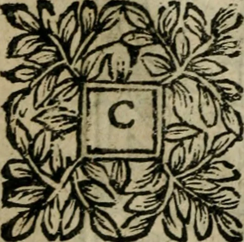 An illustration from Manvel dv breviaire romain. Où sont exposées clairement & methodiquement les raissons historiques & mystiques des heures canoniales, 1663, leaf 403