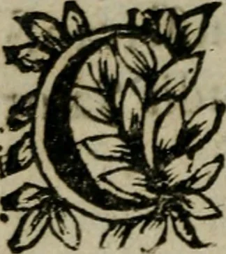 An illustration from Manvel dv breviaire romain. Où sont exposées clairement & methodiquement les raissons historiques & mystiques des heures canoniales, 1663, leaf 157