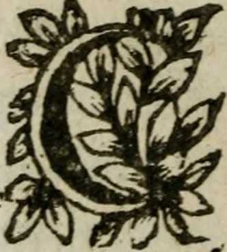 An illustration from Manvel dv breviaire romain. Où sont exposées clairement & methodiquement les raissons historiques & mystiques des heures canoniales, 1663, leaf 529