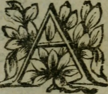 An illustration from Manvel dv breviaire romain. Où sont exposées clairement & methodiquement les raissons historiques & mystiques des heures canoniales, 1663, leaf 536
