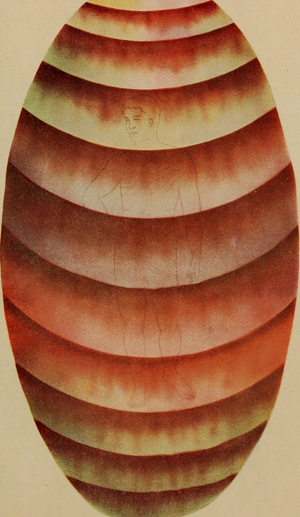 An illustration from Man visible and invisible .., 1903, leaf 156