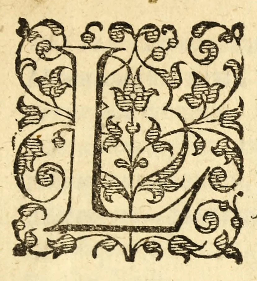An illustration from A map of Virginia. : VVith a description of the countrey, the commodities, people, government, and religion., 1612, leaf 11