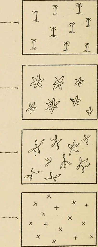 An illustration from Map reading and topographical sketching, 1918, leaf 55