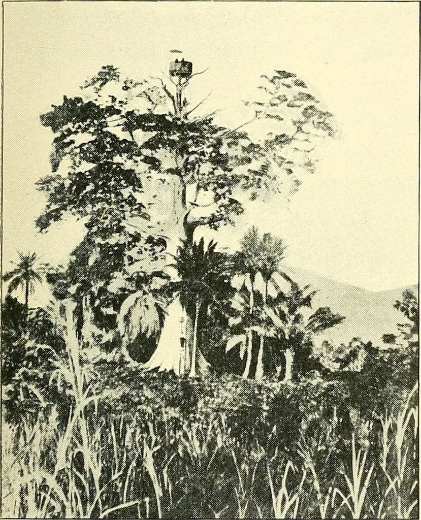 An illustration from Maps and map-making; three lectures delivered under the auspices of the Royal geographical society, 1910, leaf 102