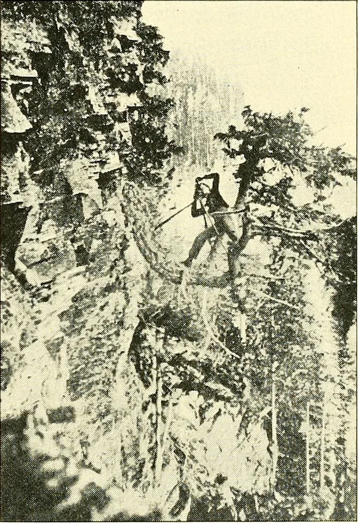 An illustration from Maps and map-making; three lectures delivered under the auspices of the Royal geographical society, 1910, leaf 102