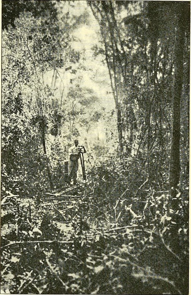 An illustration from Maps and map-making; three lectures delivered under the auspices of the Royal geographical society, 1910, leaf 114