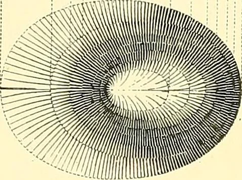 An illustration from Maps and map-making; three lectures delivered under the auspices of the Royal geographical society, 1910, leaf 152