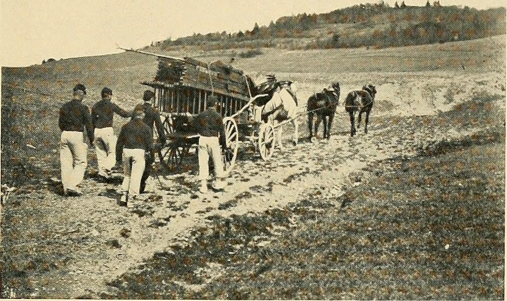 An illustration from Maps and survey, 1913, leaf 188