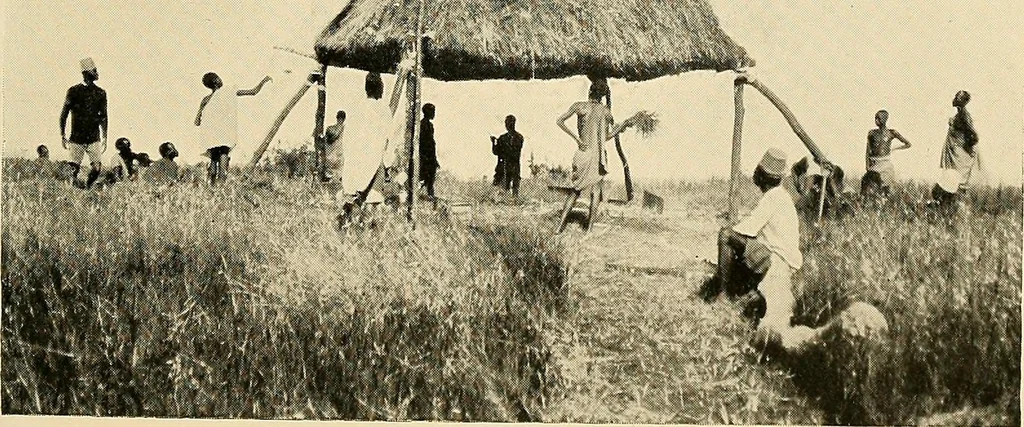 An illustration from Maps and survey, 1913, leaf 194