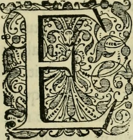 An illustration from Ammiani Marcellini Rerum gestarum qui de XXXI supersunt, libri XVIII, 1693, leaf 10