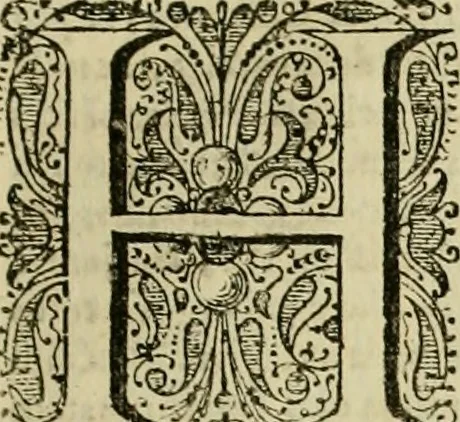 An illustration from Ammiani Marcellini Rerum gestarum qui de XXXI supersunt, libri XVIII, 1693, leaf 28