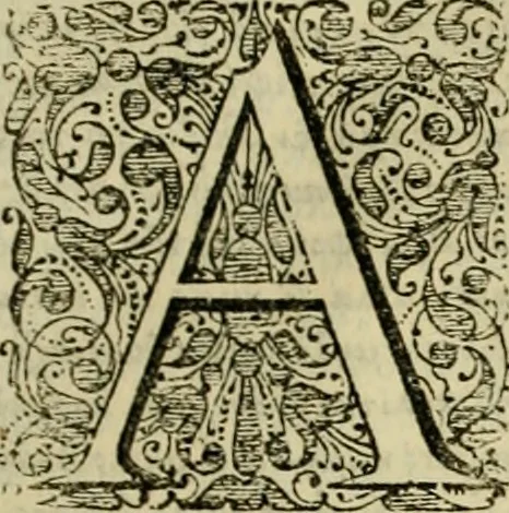 An illustration from Ammiani Marcellini Rerum gestarum qui de XXXI supersunt, libri XVIII, 1693, leaf 40