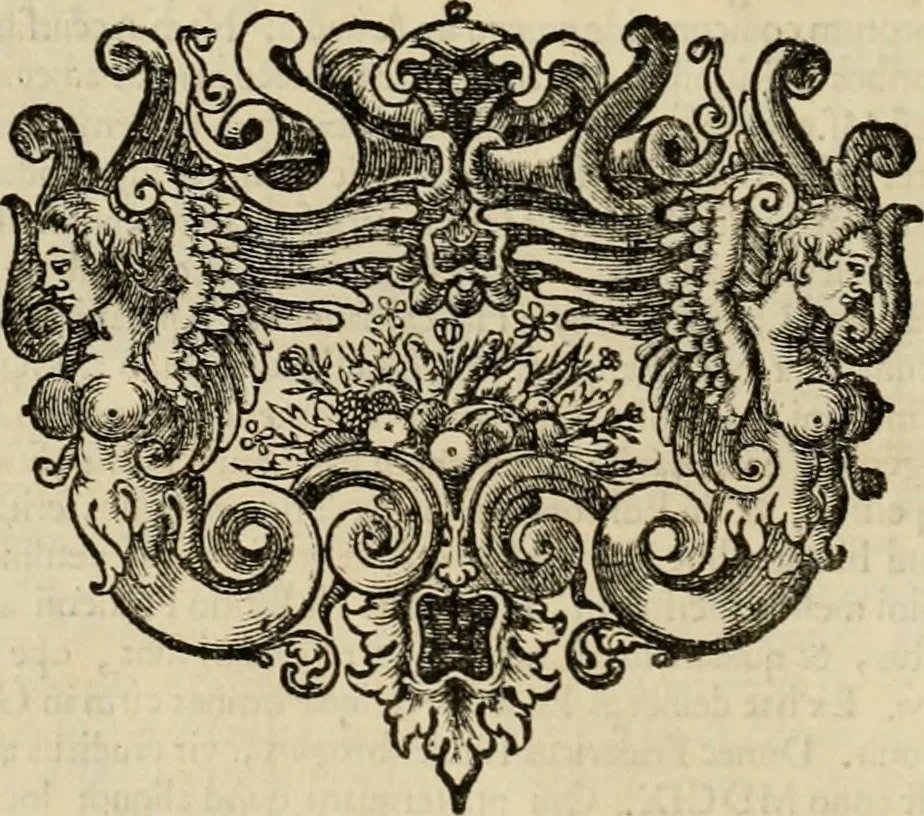 An illustration from Ammiani Marcellini Rerum gestarum qui de XXXI supersunt, libri XVIII, 1693, leaf 43