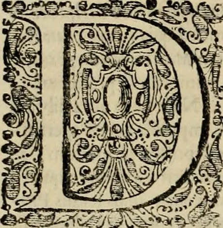 An illustration from Ammiani Marcellini Rerum gestarum qui de XXXI supersunt, libri XVIII, 1693, leaf 53