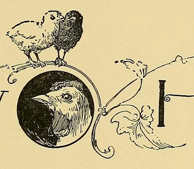 An illustration from Marching plays. Designed for little children at home, 1896, leaf 37